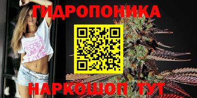 а пвп мука Новозыбков