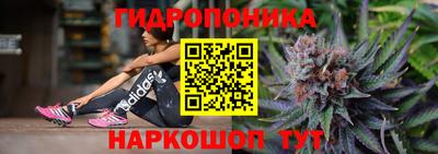 МДПВ Новодвинск