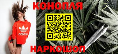 МДПВ Новодвинск