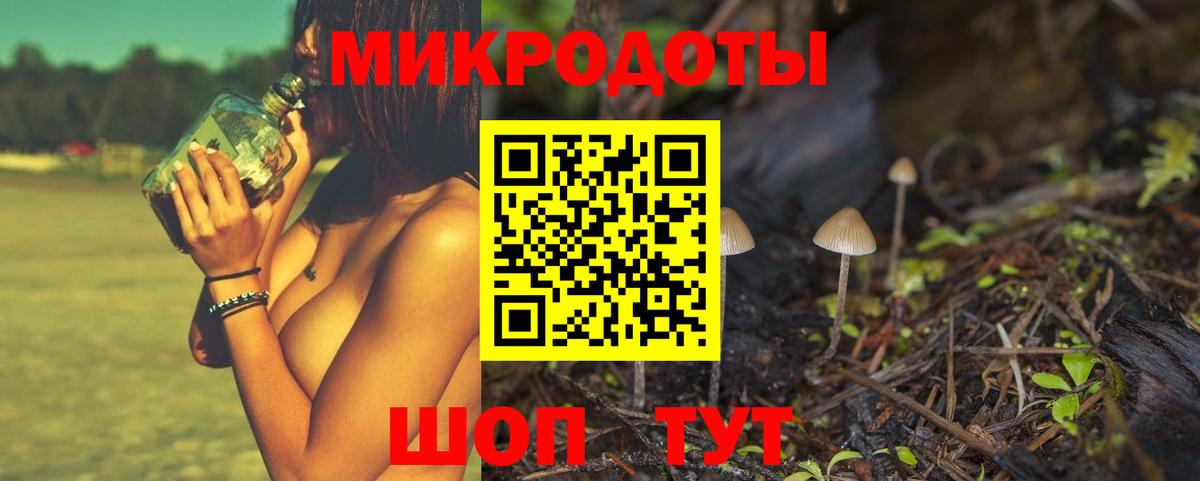 Галлюциногенные грибы Cubensis  Вход с VPN  Пугачёв 